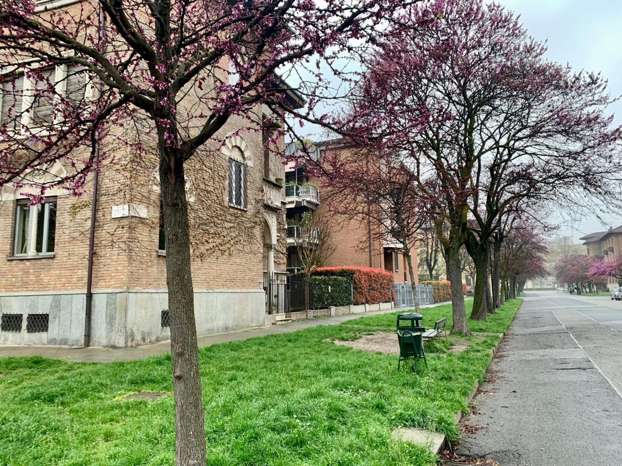 Isola - Isola Pedonale Crocetta Politecnico * Turin